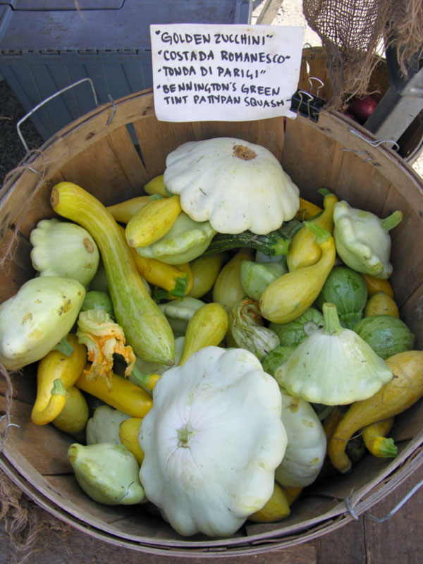 squash.jpg
