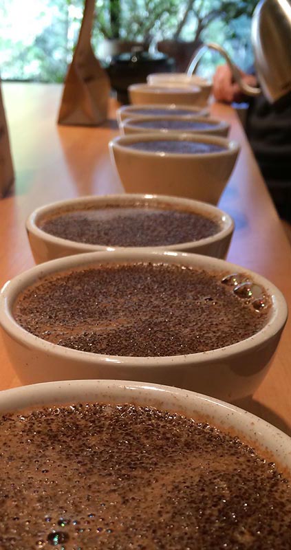 PHOTO COURTESY BARRINGTON COFFEE ROASTING COMPANY