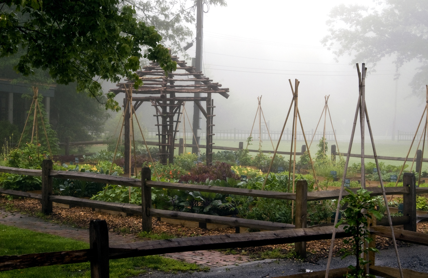 Jack Staub Garden2.jpg