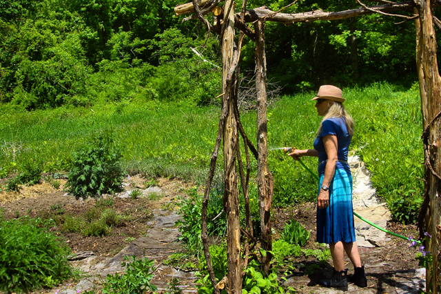 KRYSIA watering2.jpg