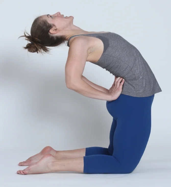 Image 5: Modified camel pose.