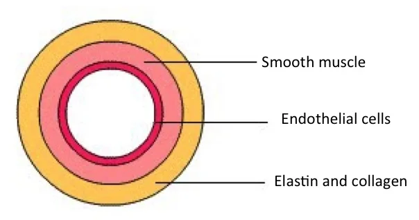 Image 2: