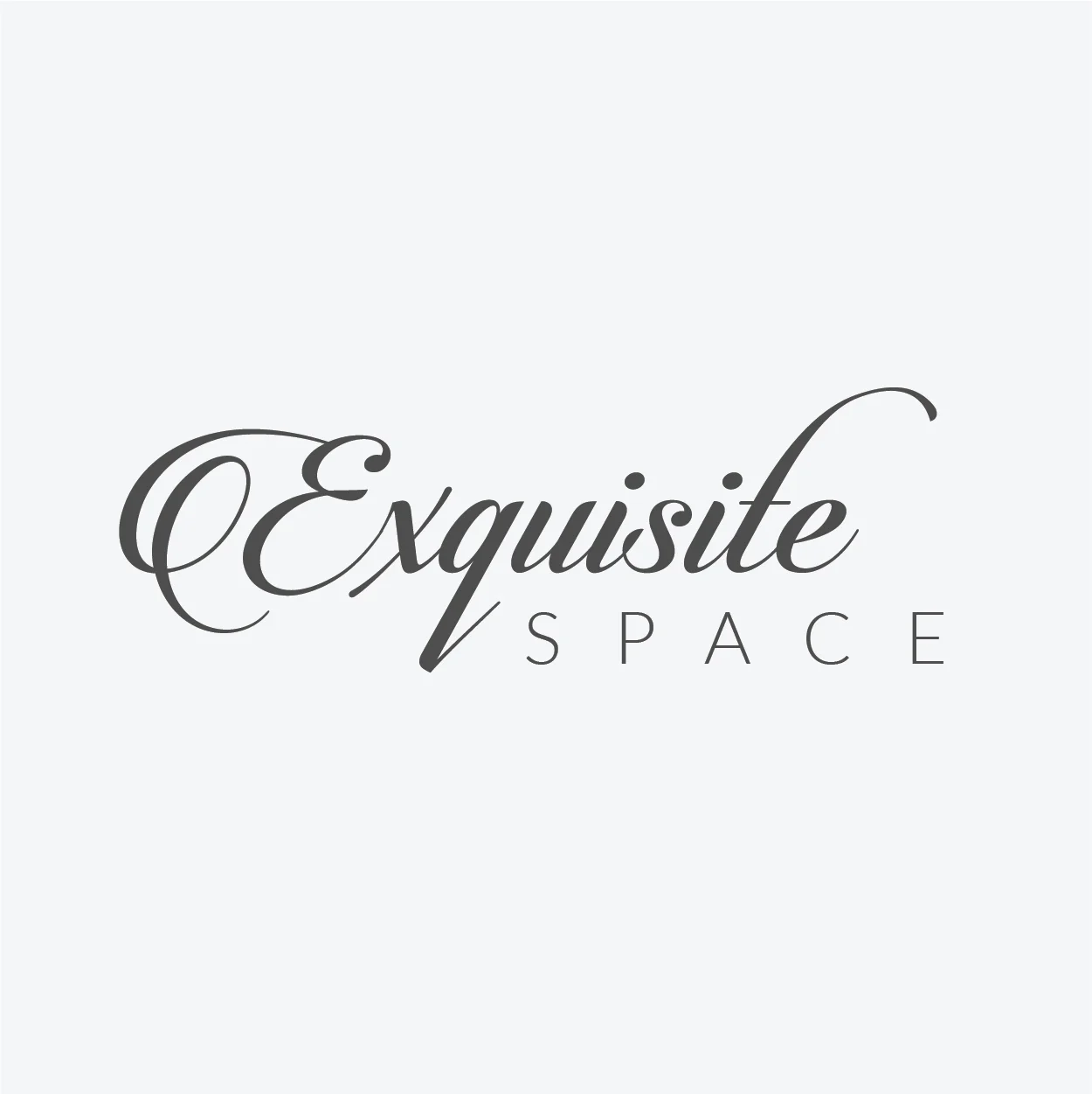 Exquisite Space Display Logo.jpg
