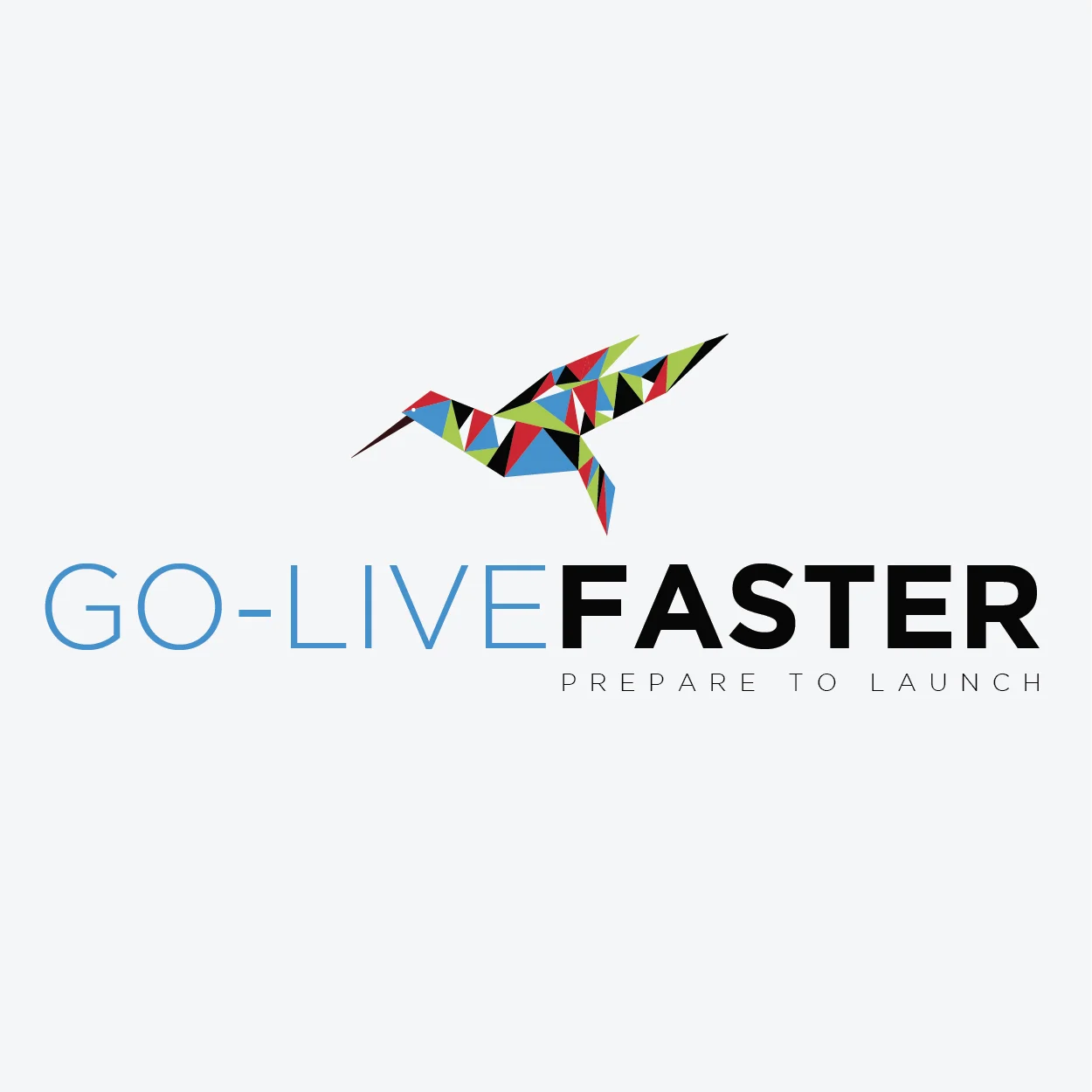 Go Live Faster Display Logo.jpg