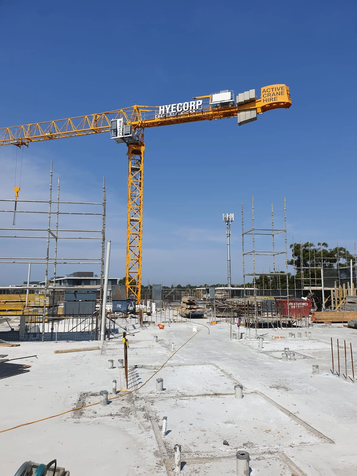 WhatsApp Image 2019-03-07 at 09.41.49.jpeg