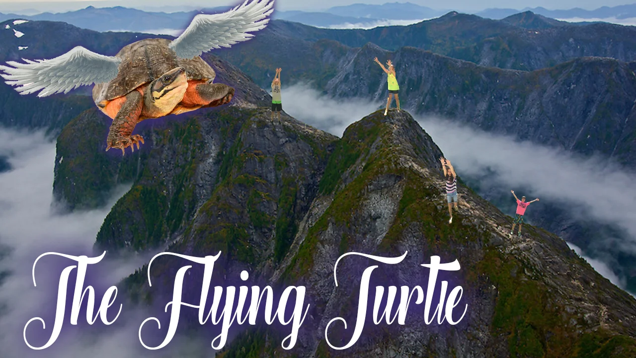 The Flying Turtle.jpg