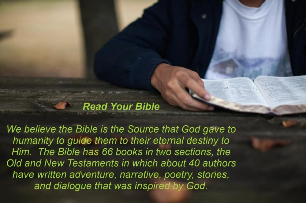 reading the bible.jpg