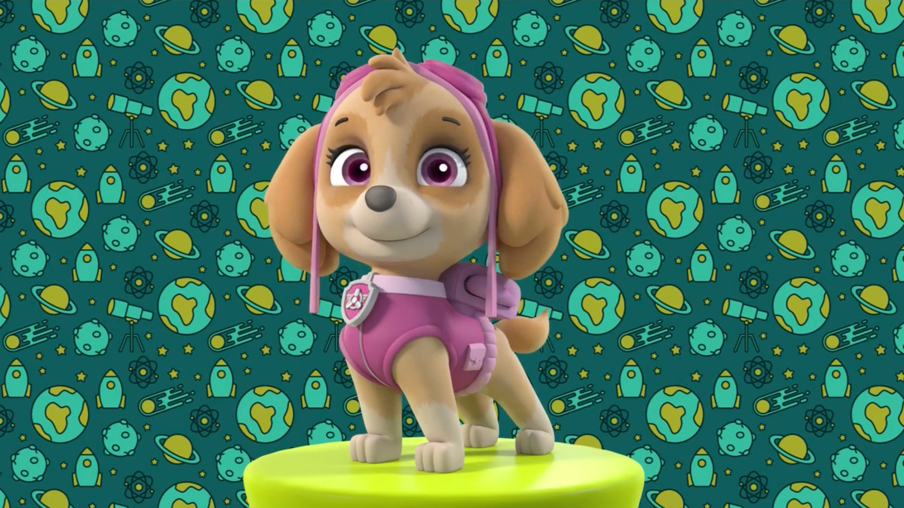 NOGGIN SHORTS - TAKE A CLOSER LOOK