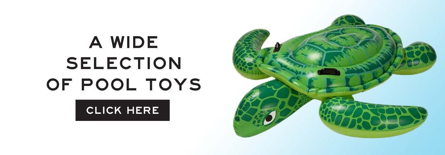 turtle-toy-Slider.jpg