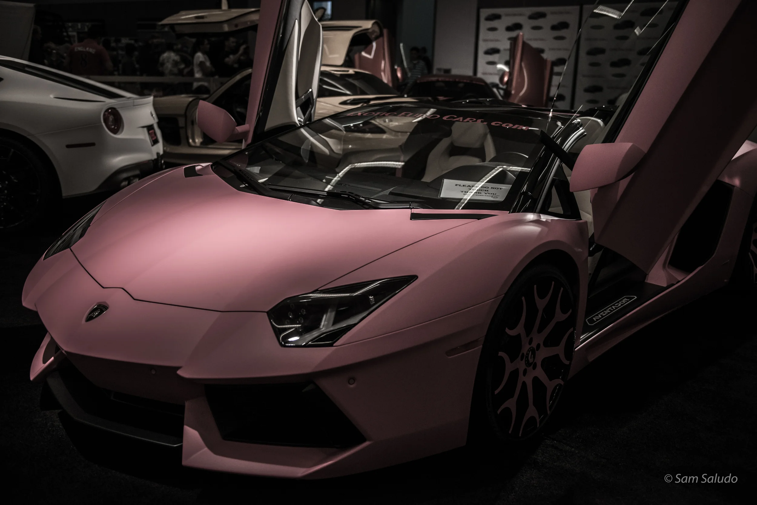 LA Auto Show 2013-1-8.jpg