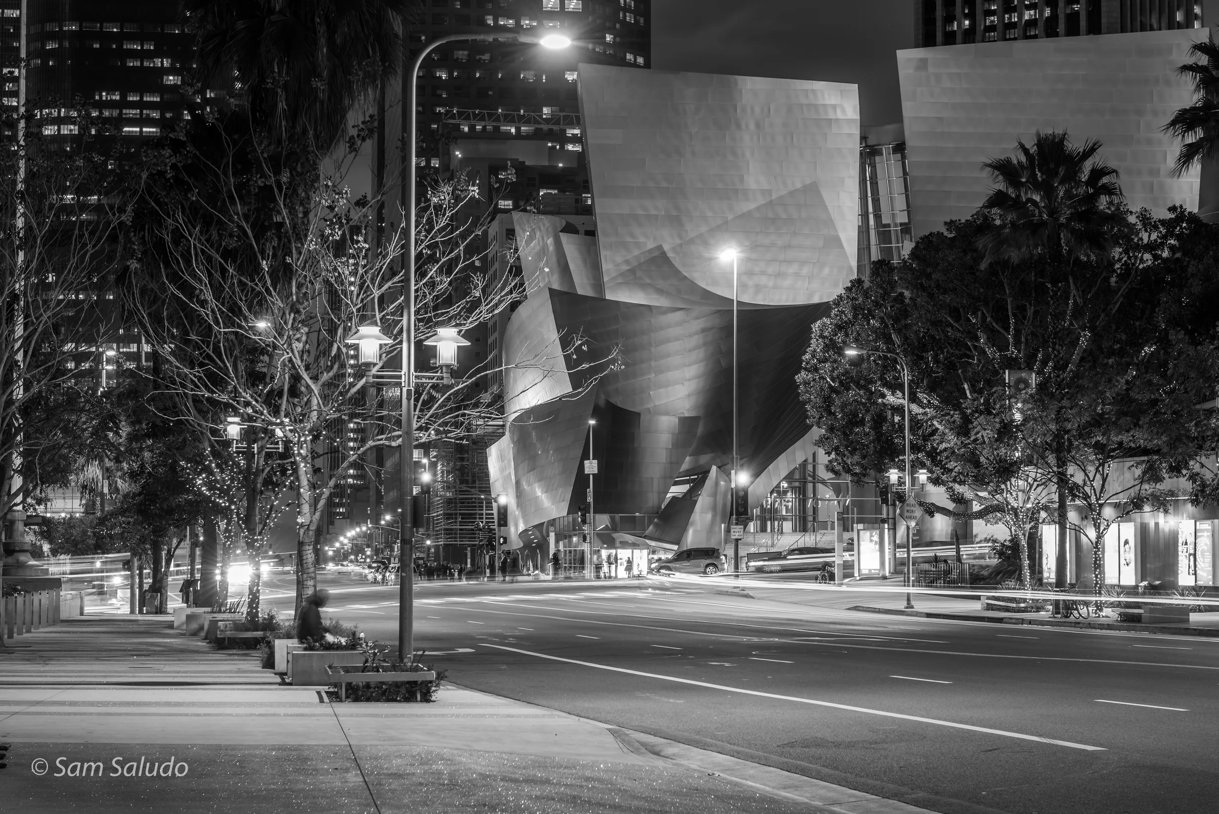 Disney Concert Hall-8056.jpg