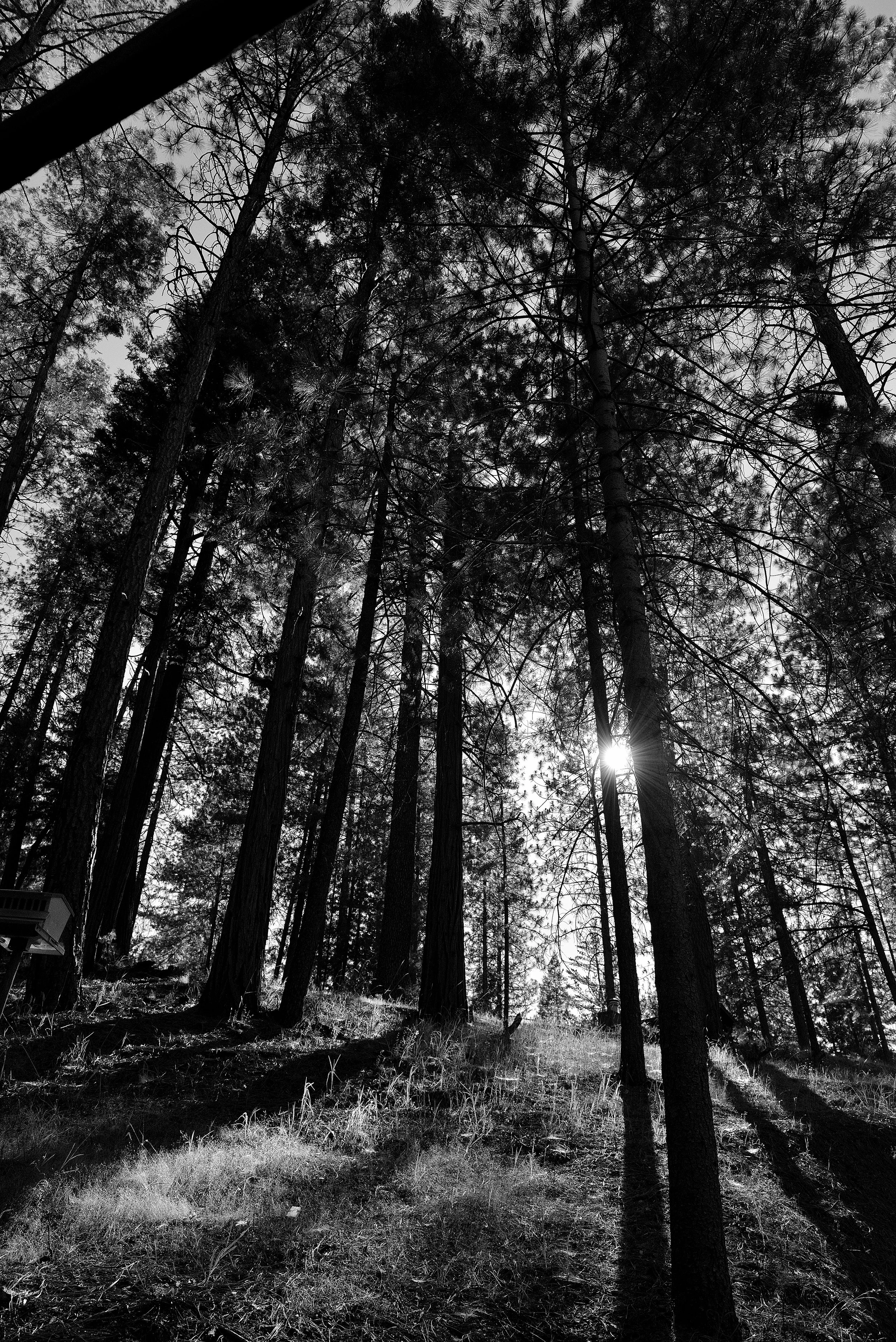 2013 Yosemite-007.JPG