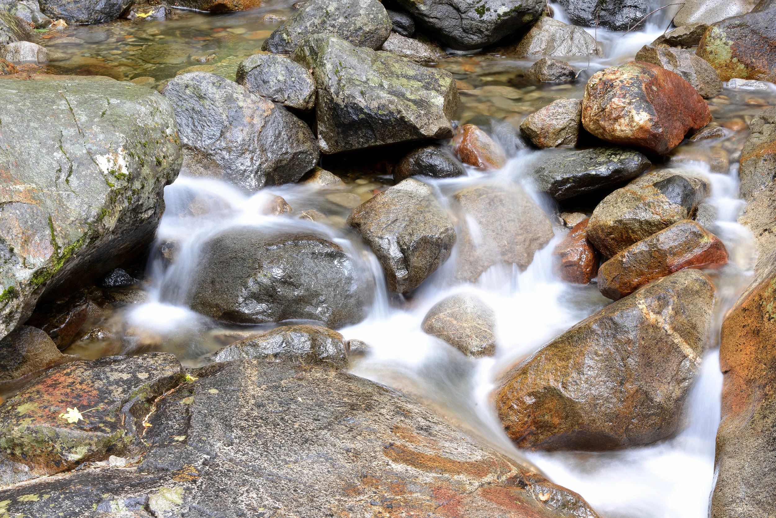 2013 Yosemite-147.JPG