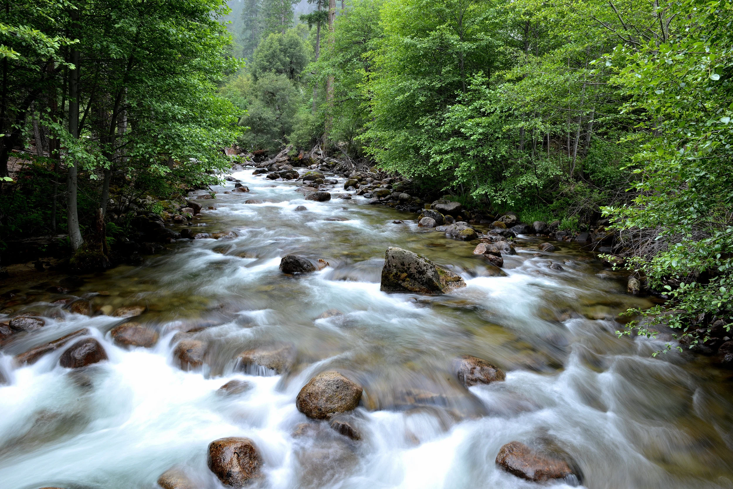 2013 Yosemite-179.JPG