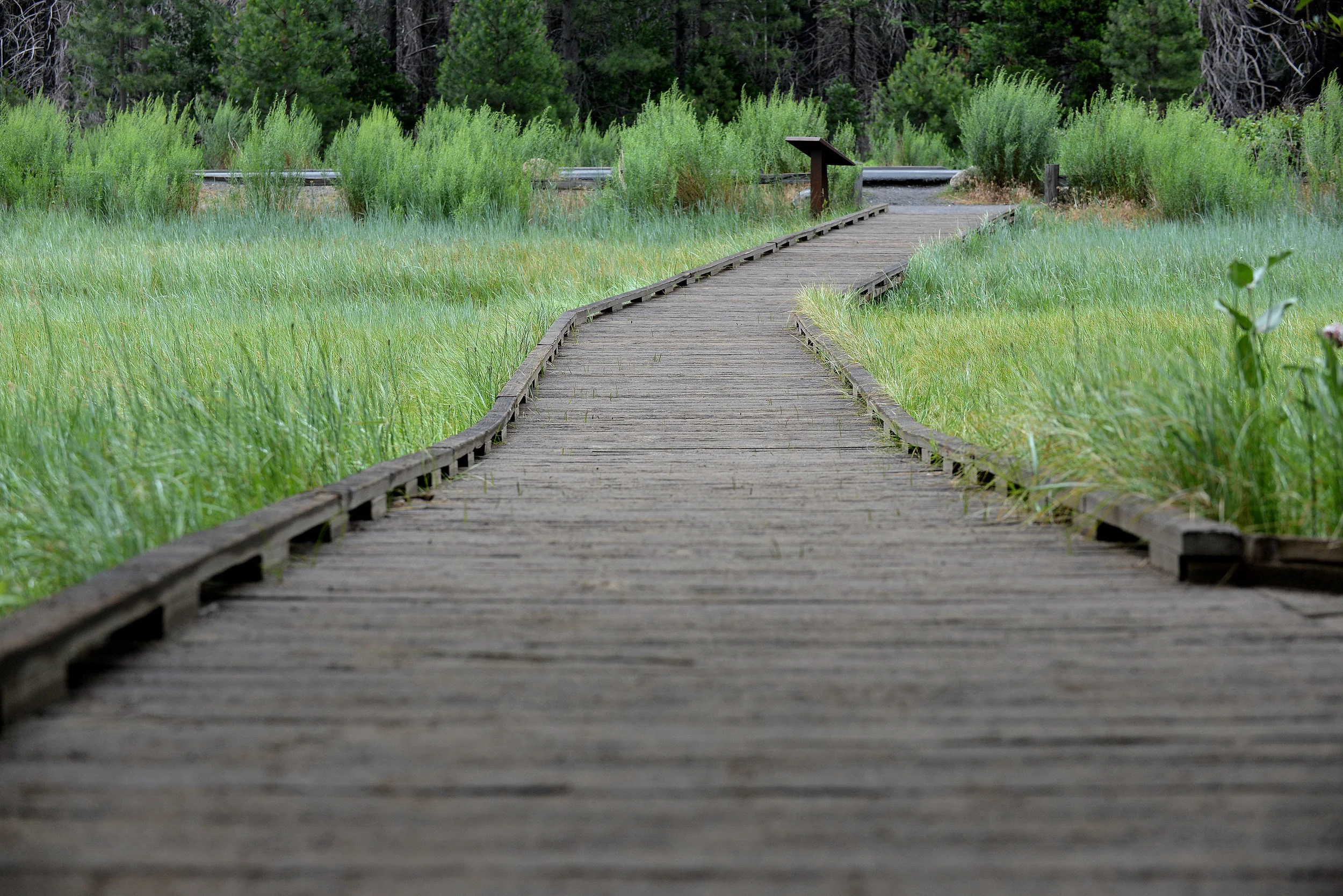 2013 Yosemite-166.JPG