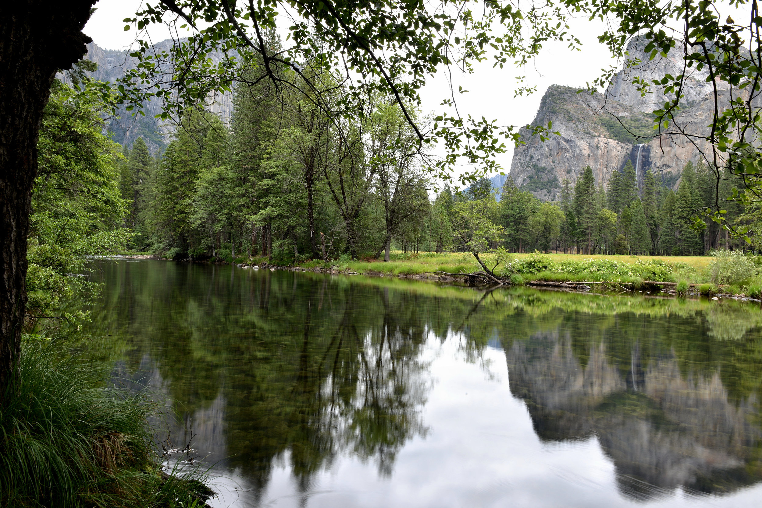 2013 Yosemite-184.JPG