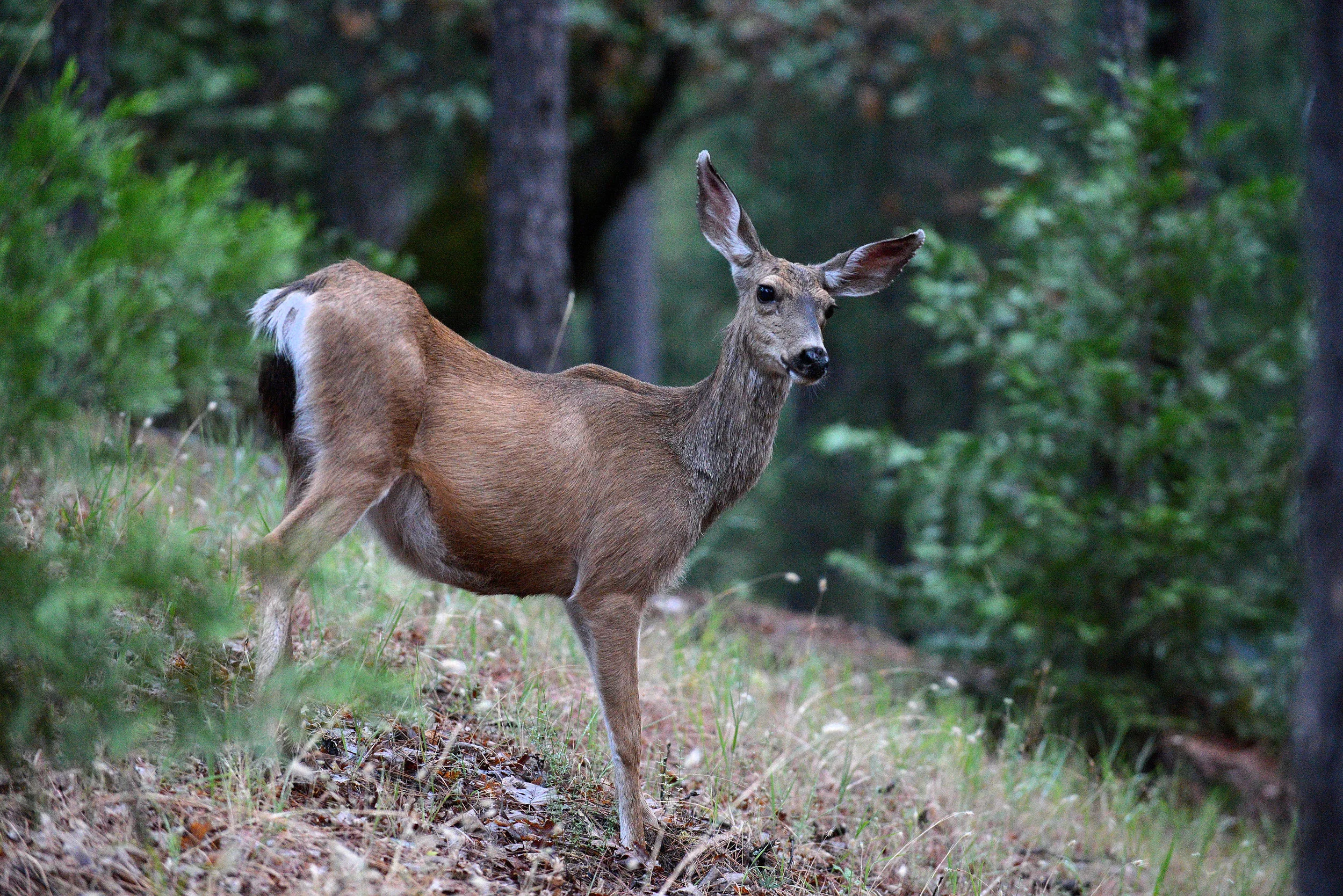 2013 Yosemite-186.JPG