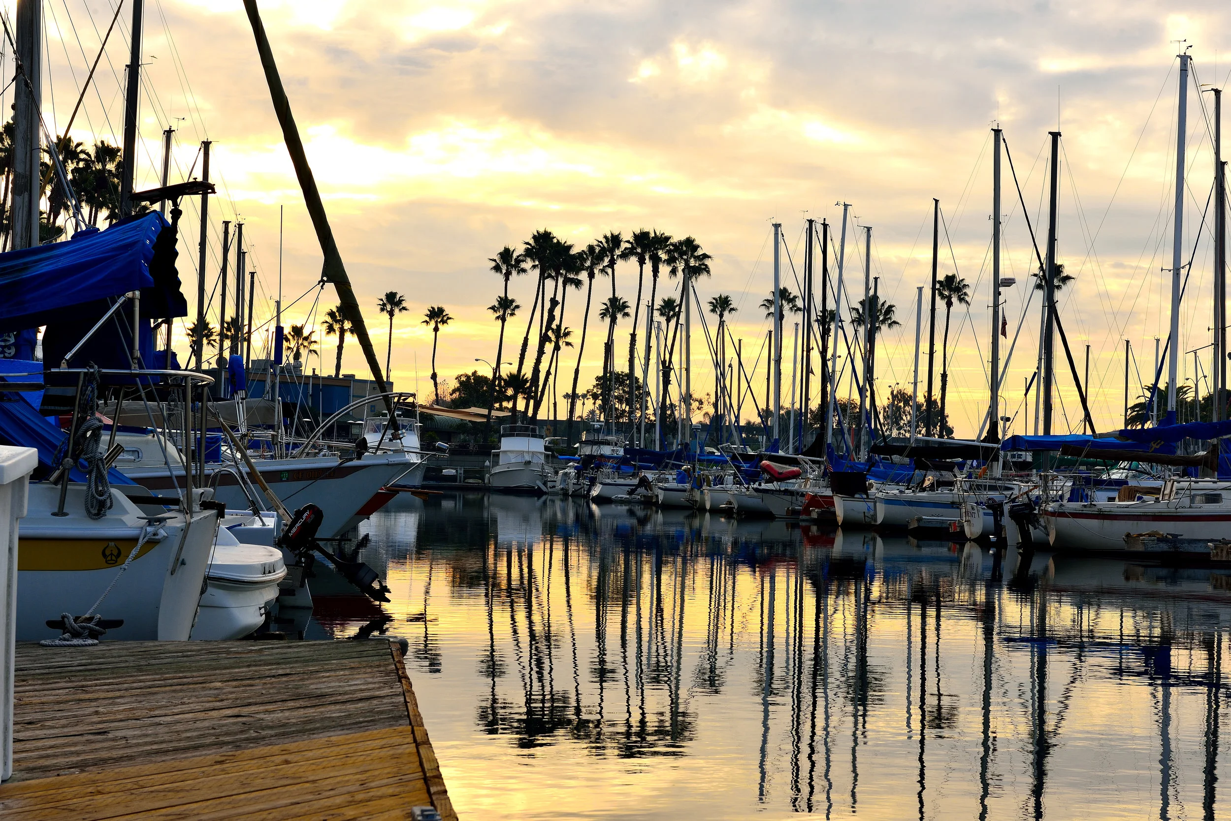 LB Marina-006.JPG