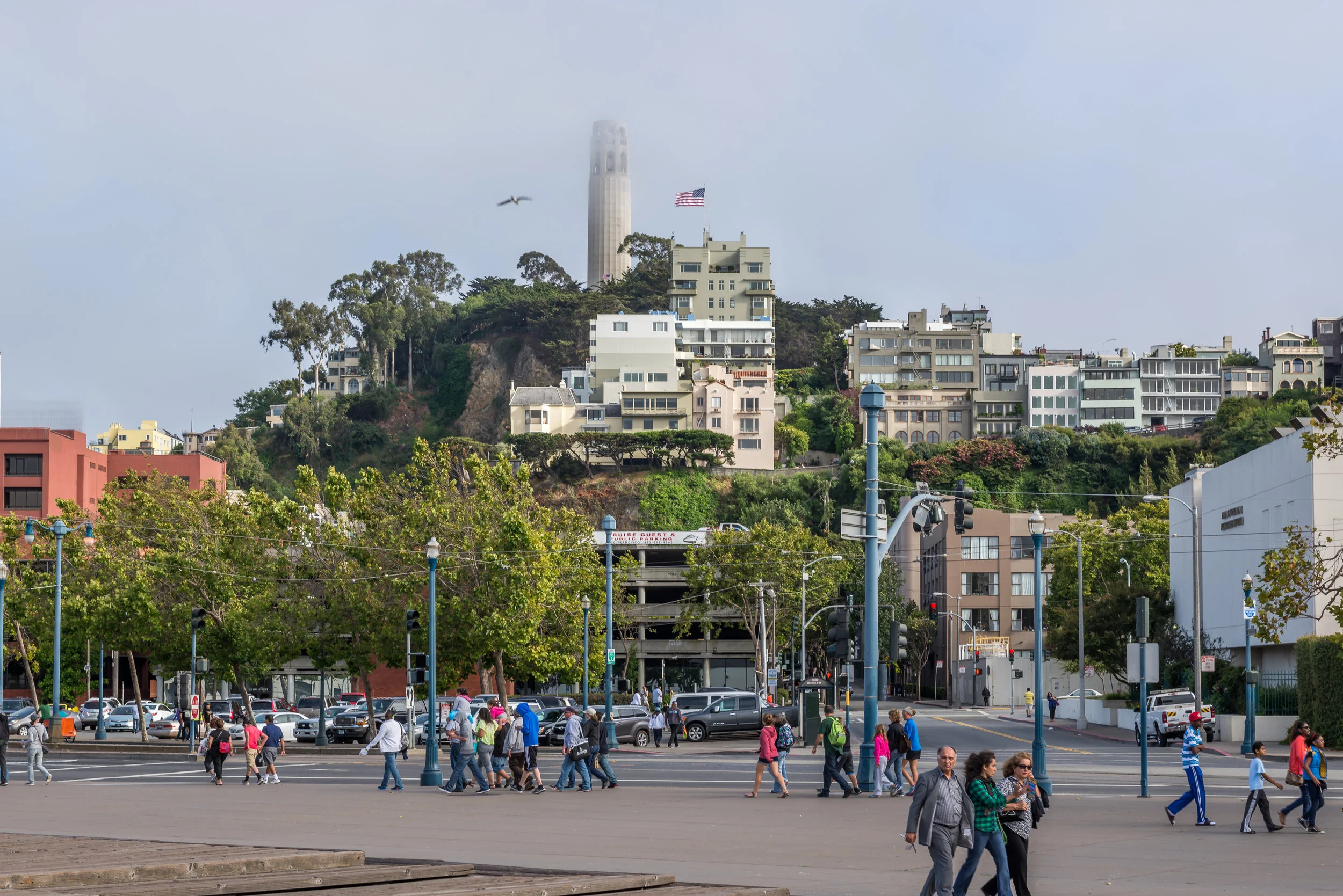 June 2014 - San Francisco-20.jpg