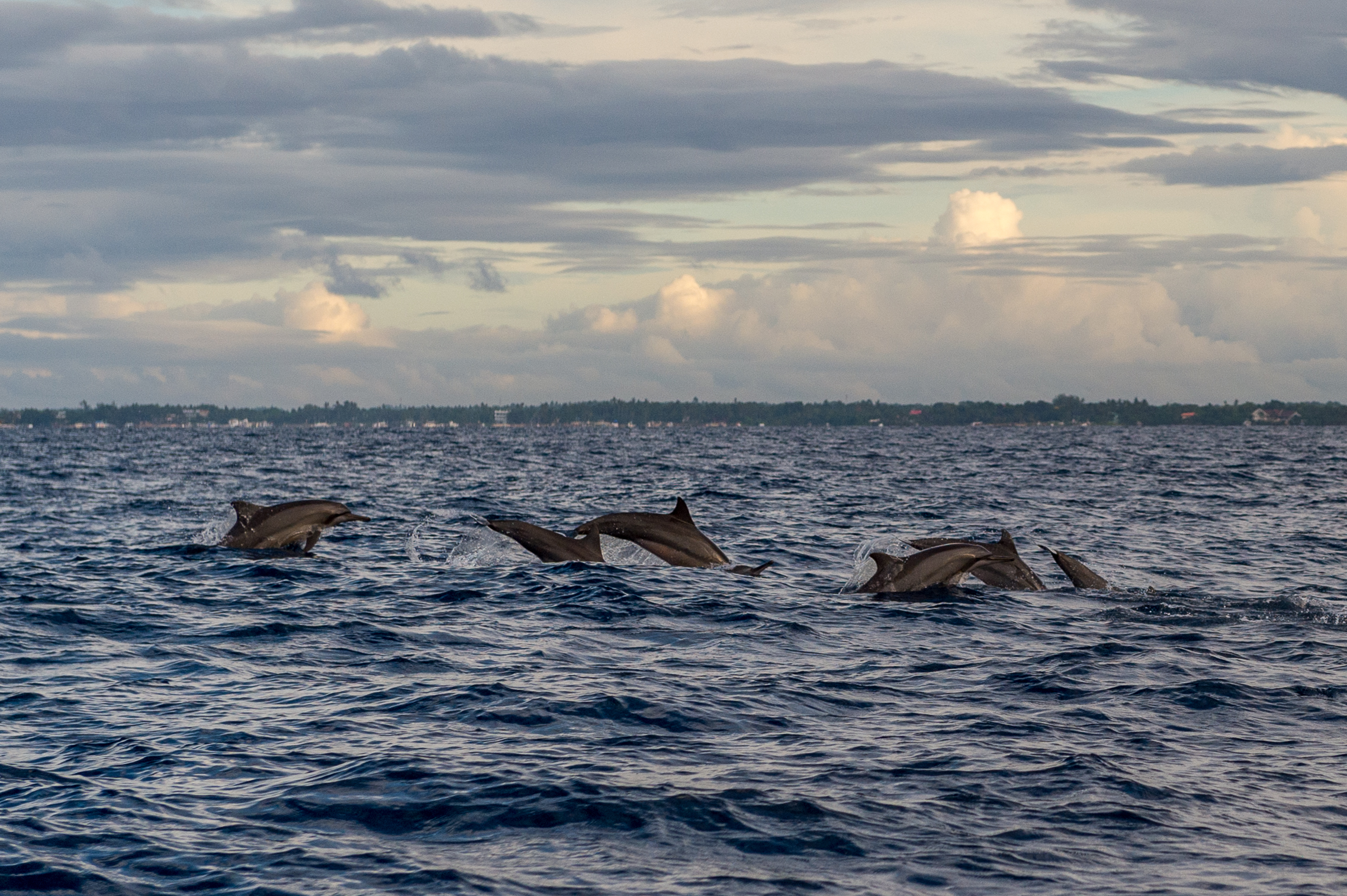 Philippines Nov 2017-159.jpg