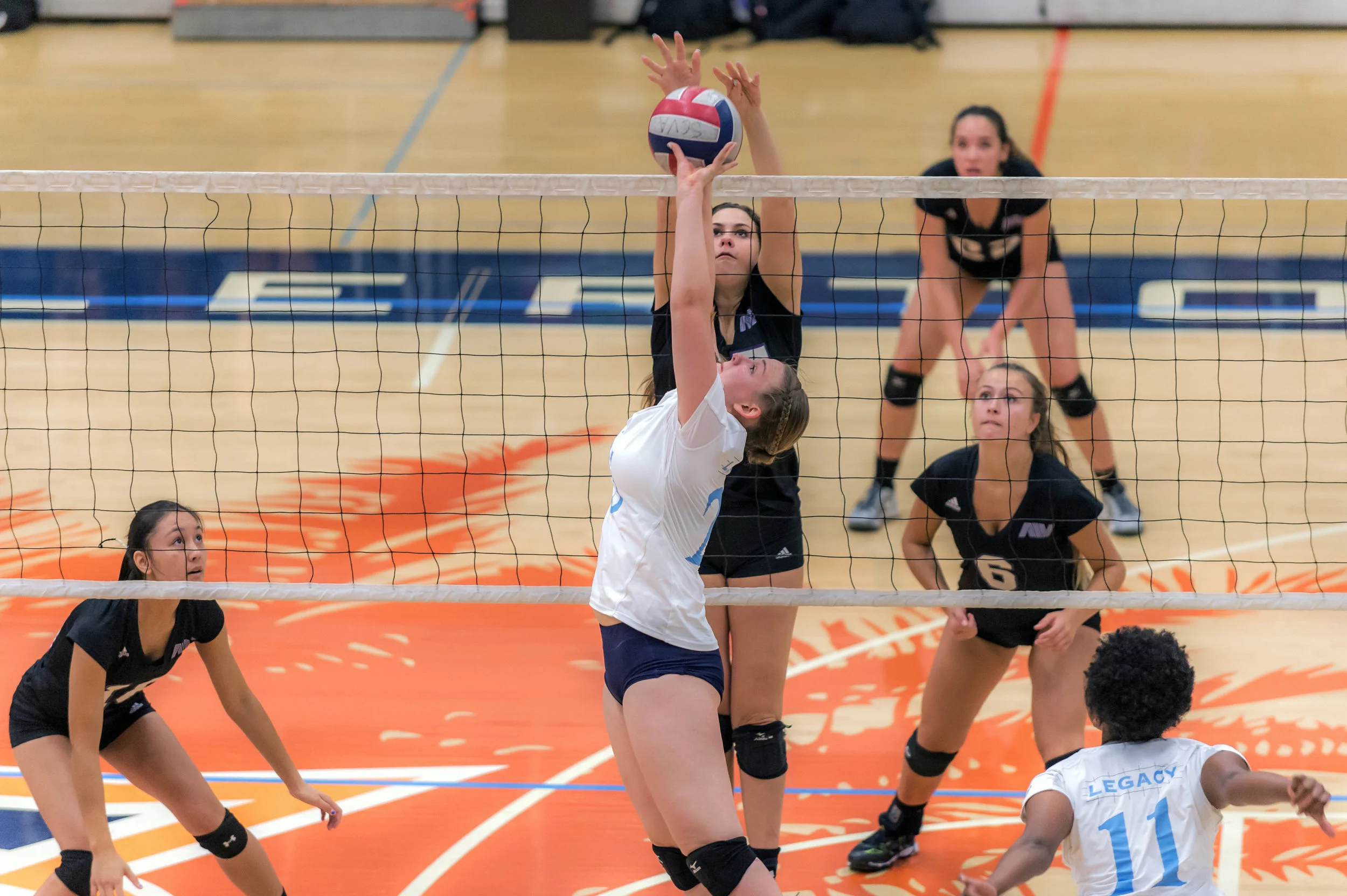 A4Volley-156.jpg