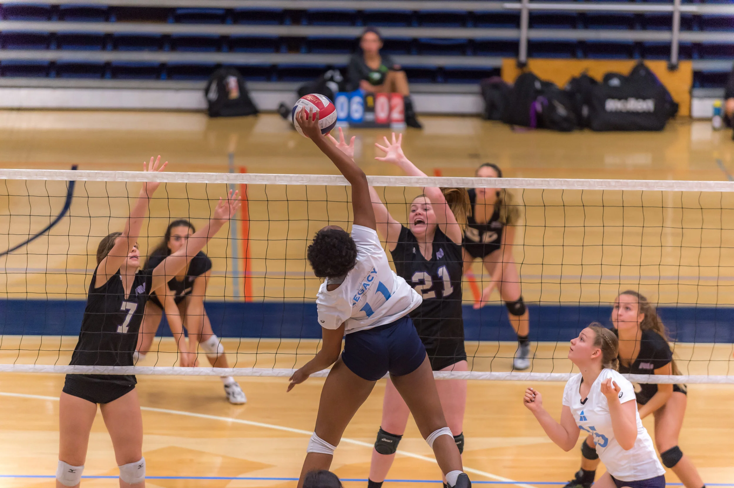 A4Volley-20.jpg