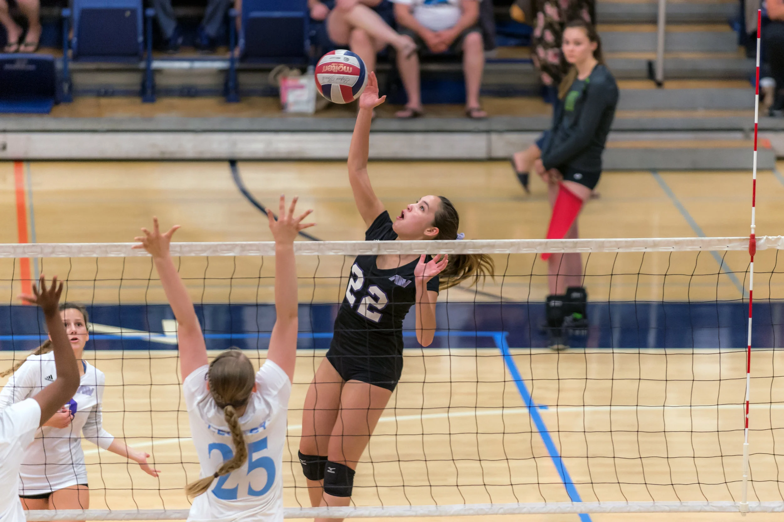 A4Volley-226.jpg