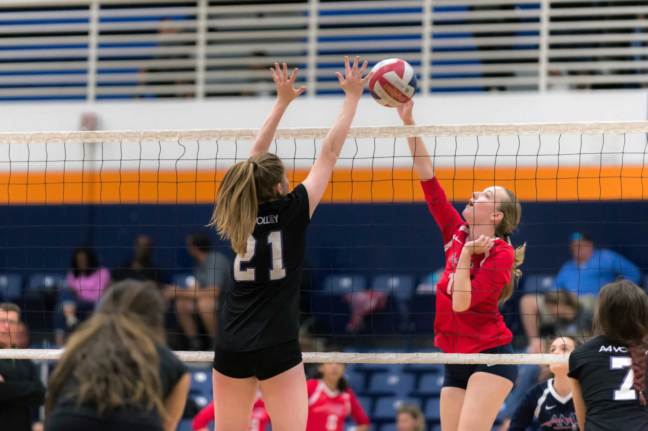 A4Volley-522.jpg