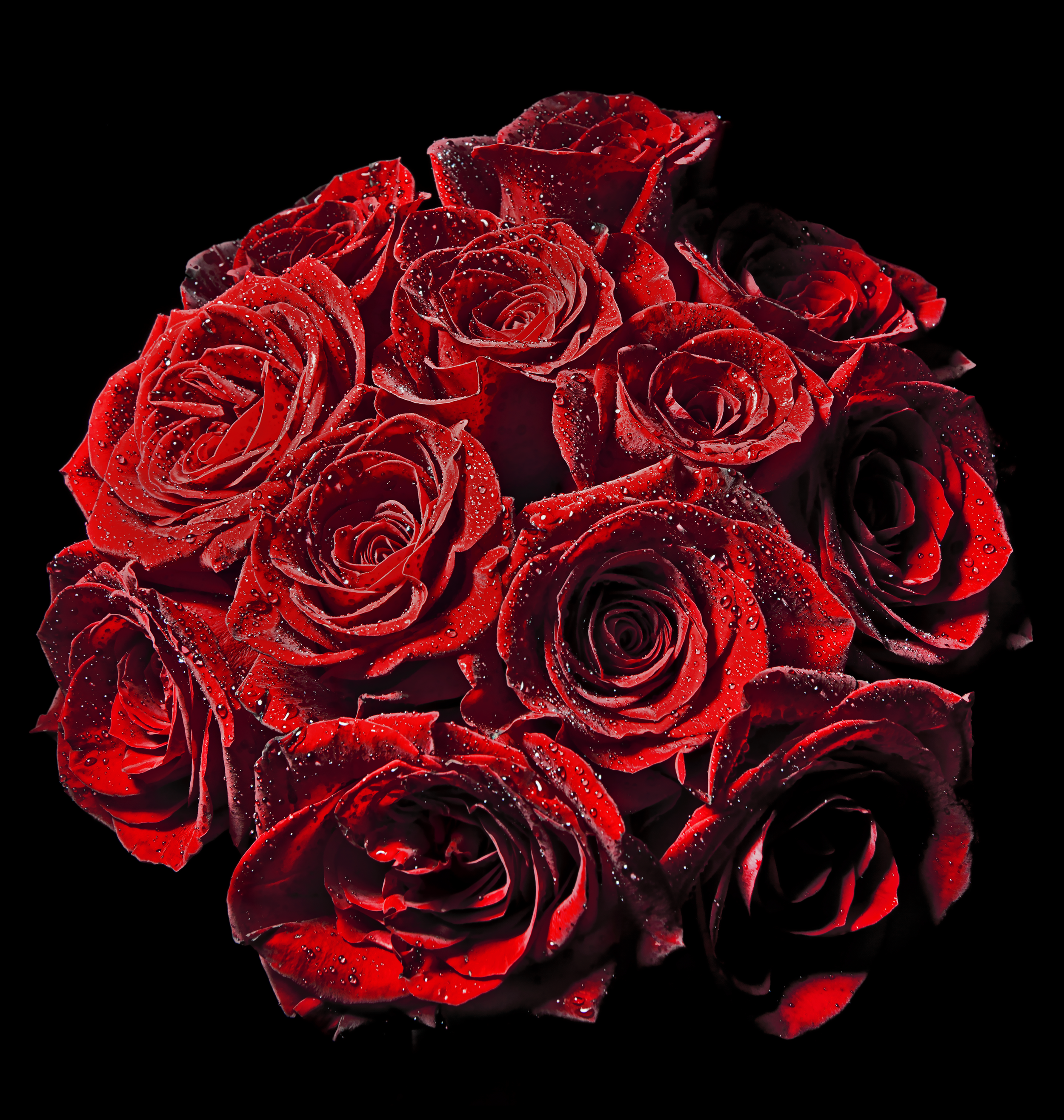 IMG_6437.png