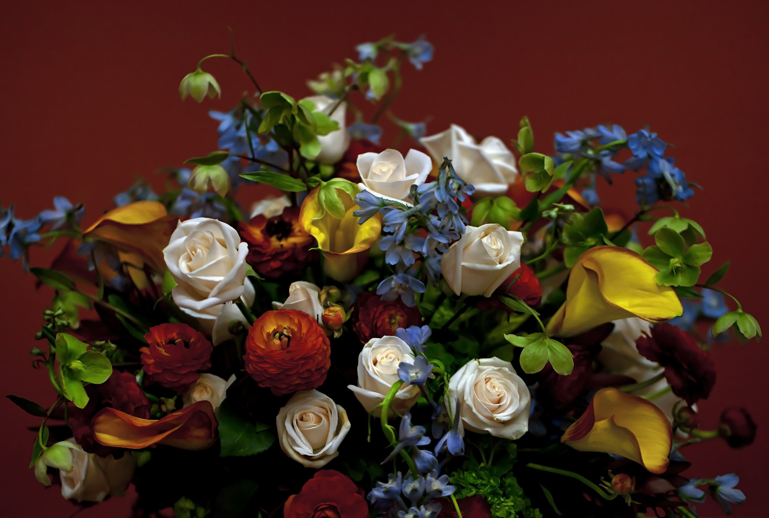 IMG_9656.png