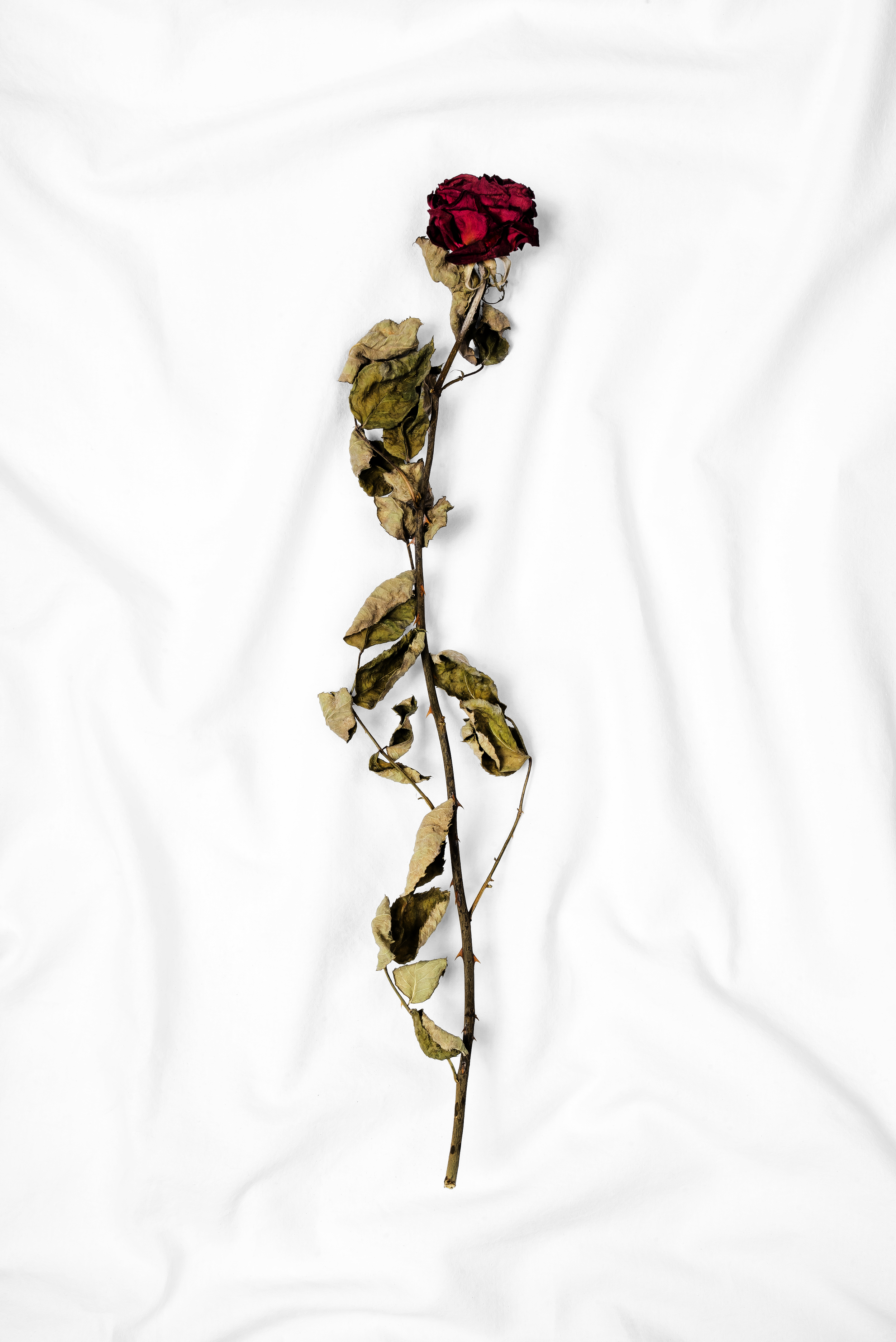 DSC3504.png