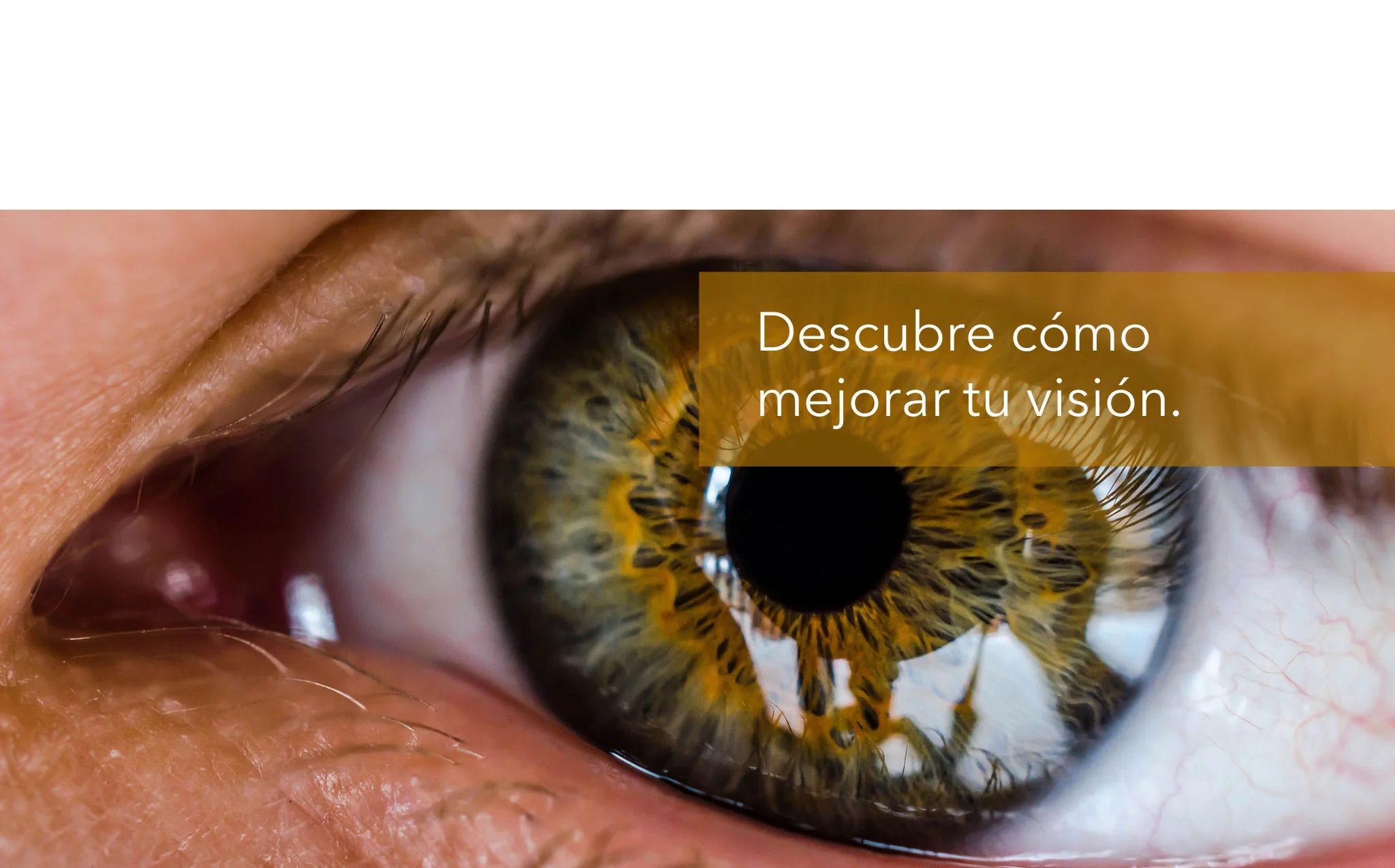 Ojo3. Barra. Final. 20141210.jpg