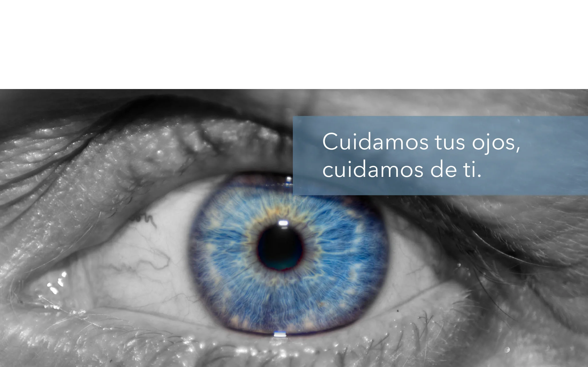 Ojo4. Barra. Final. 20141210.jpg