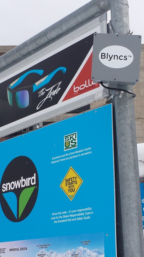 snowbird.jpeg