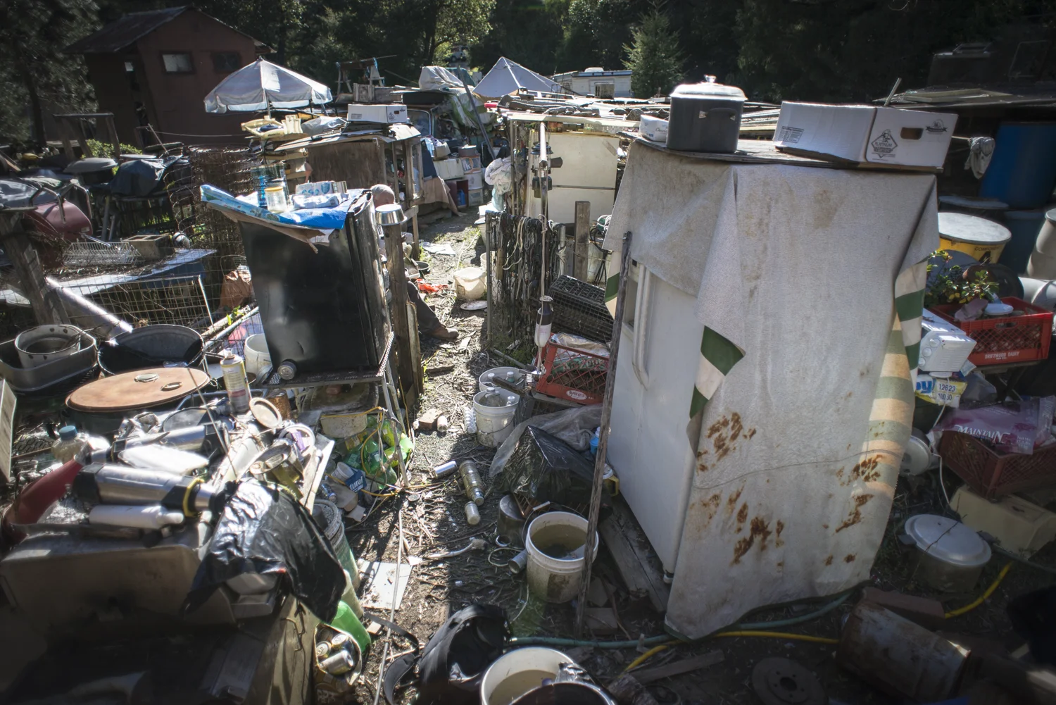 Hoarder House