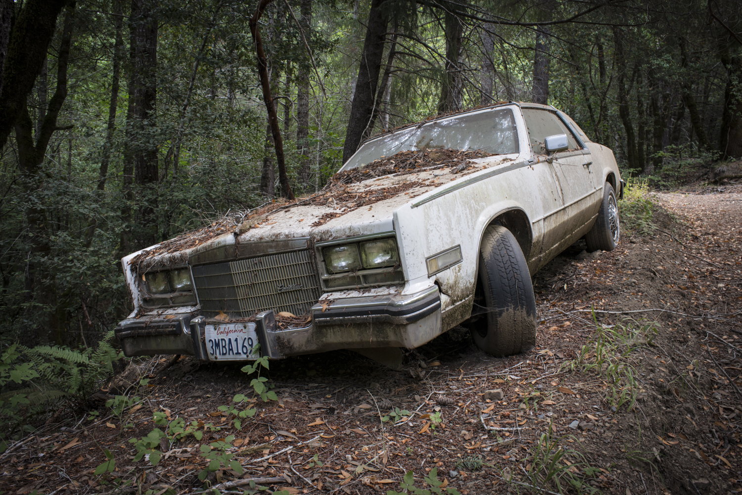 Cadillac