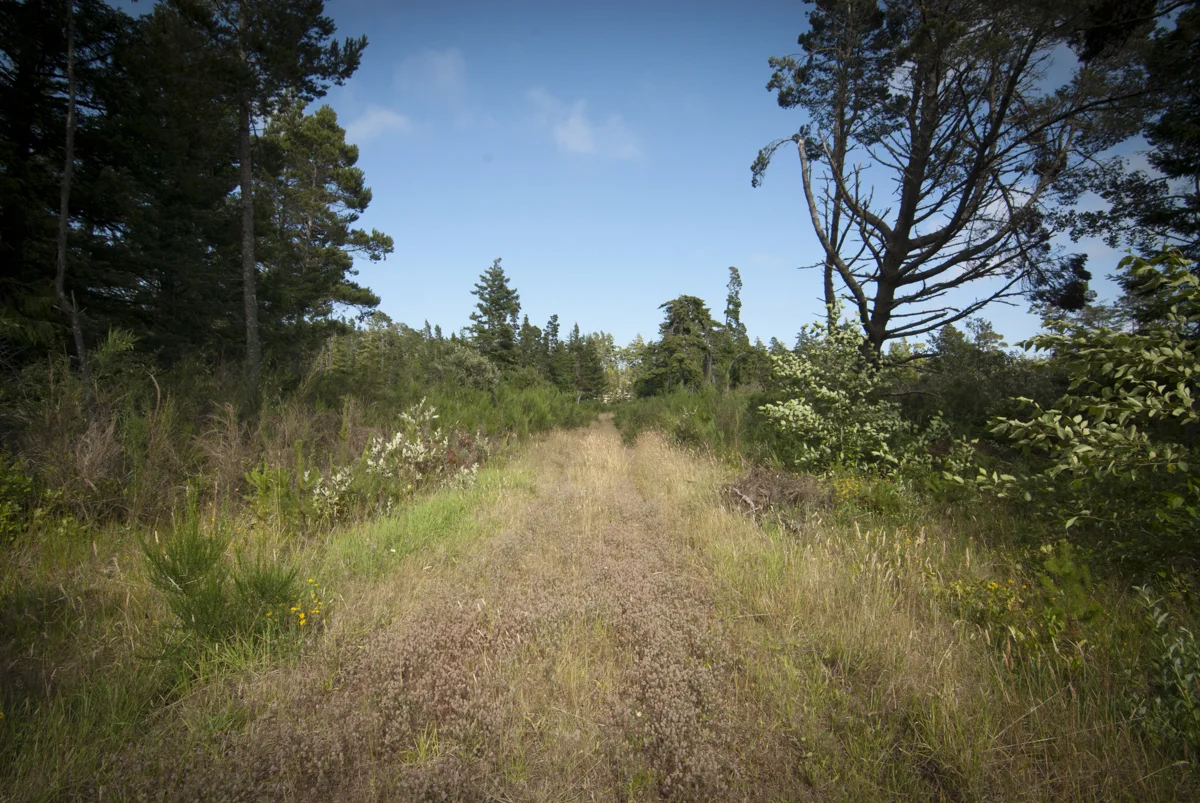 The Density of Air - Road not traveled