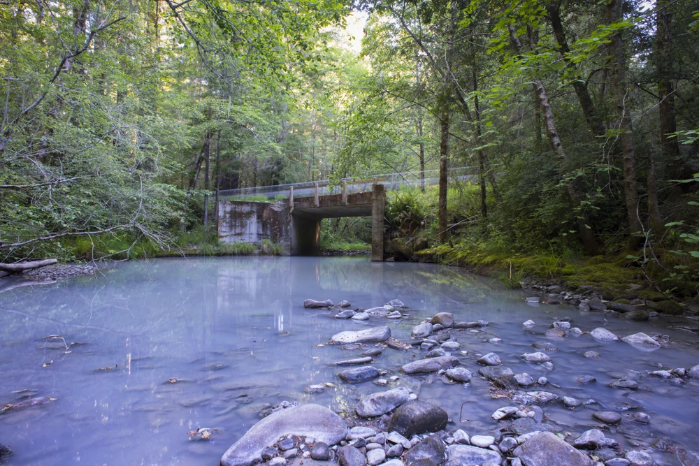 Mud Creek