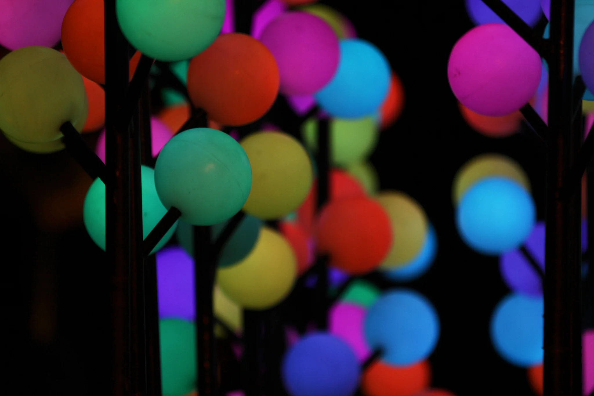 Digital Wattle Night 1.jpg