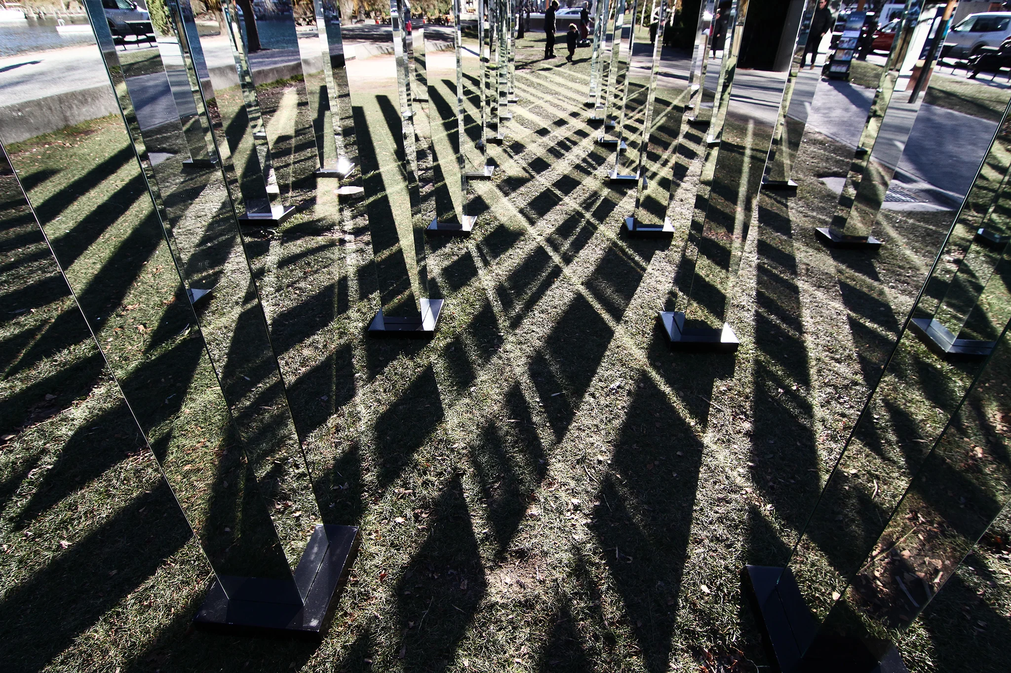 Field Afternoon Light.jpg