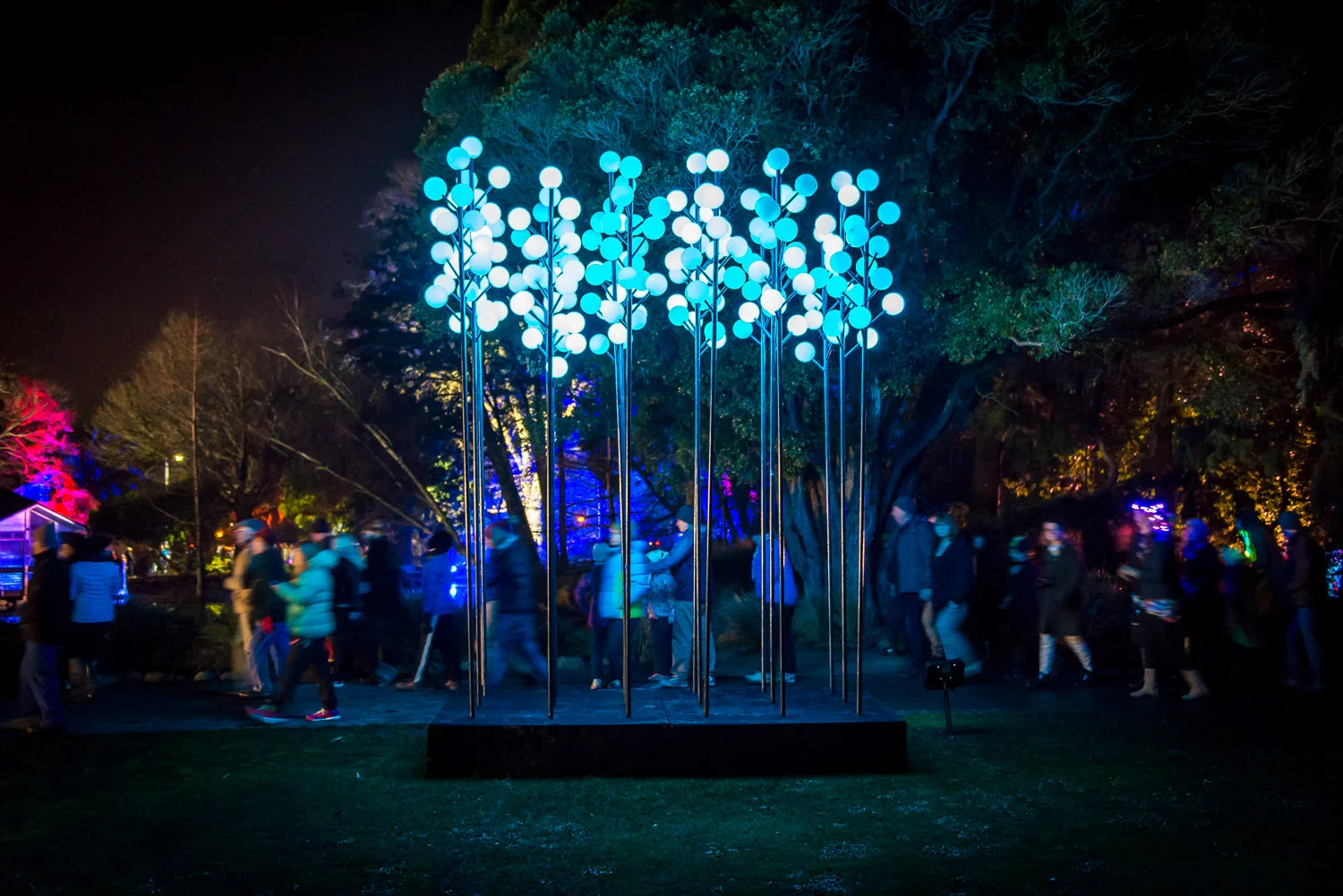 Thursday Botanic D'light-38.jpg