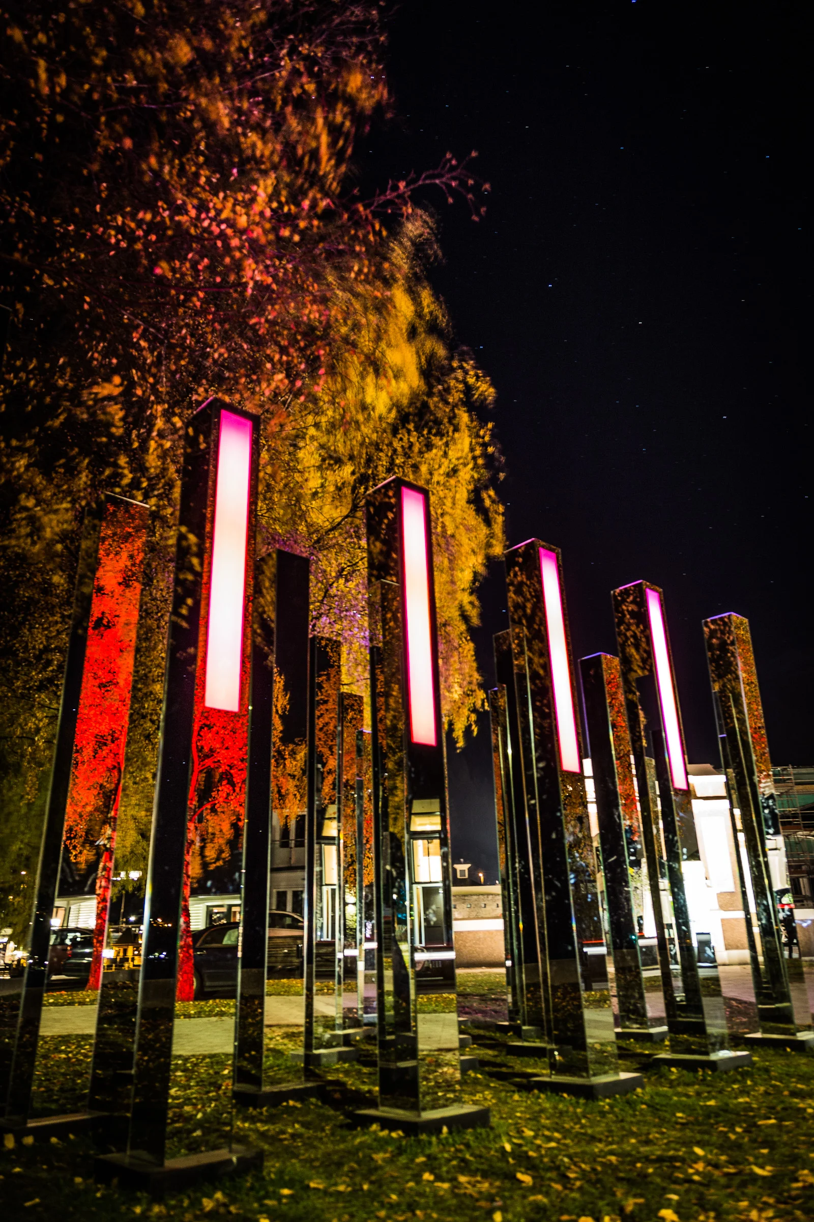 LUMA 2016 - Field Apart 02 - Aiste Vasileviciute.jpg