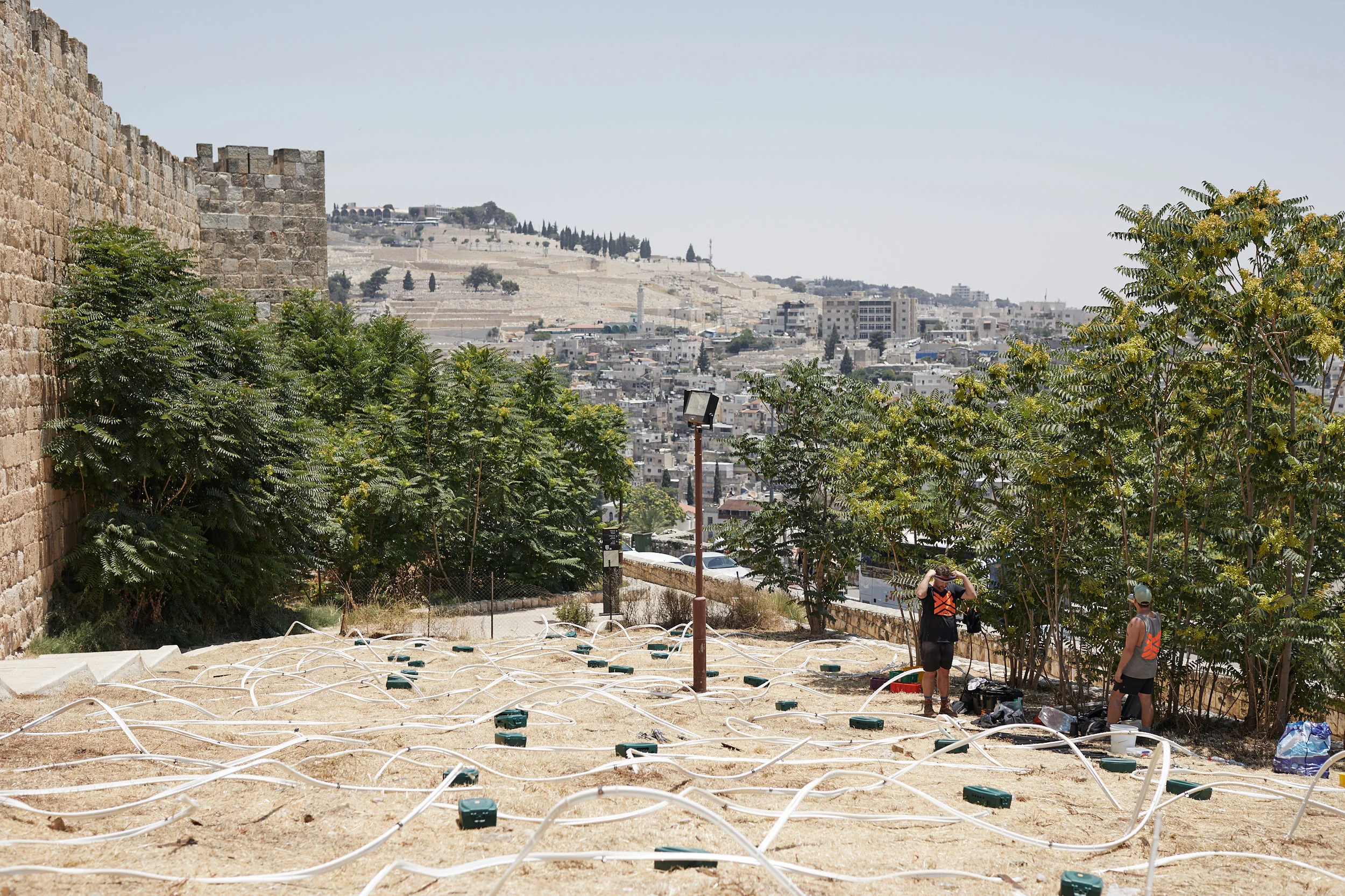 Israel_AMD_BVE_007.jpg