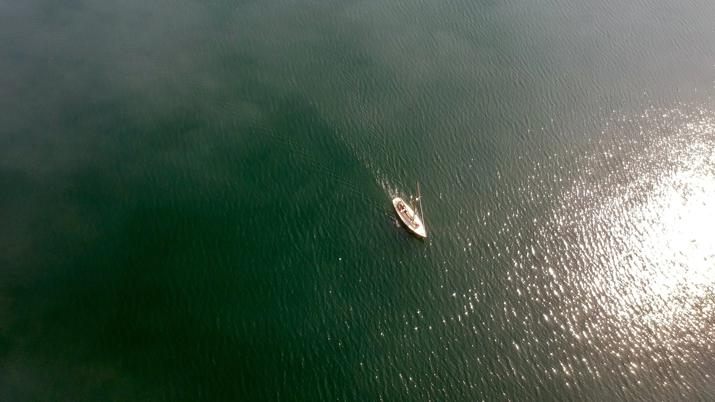 The Forgetting Curve, What It Is, Why It Matters & What To Do