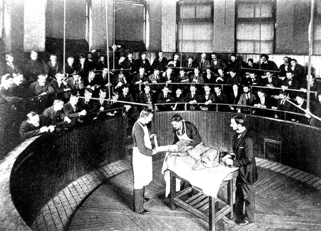 How To Put The SODOTO Method To Fabulous Use In Hotels & Service Industries