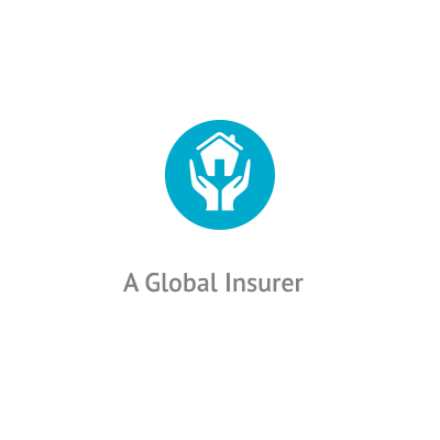 A Global Insurer