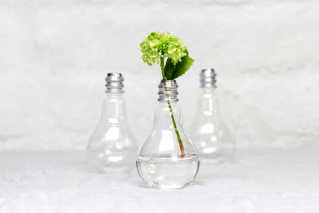 The Perching Post Light Bulb Vase