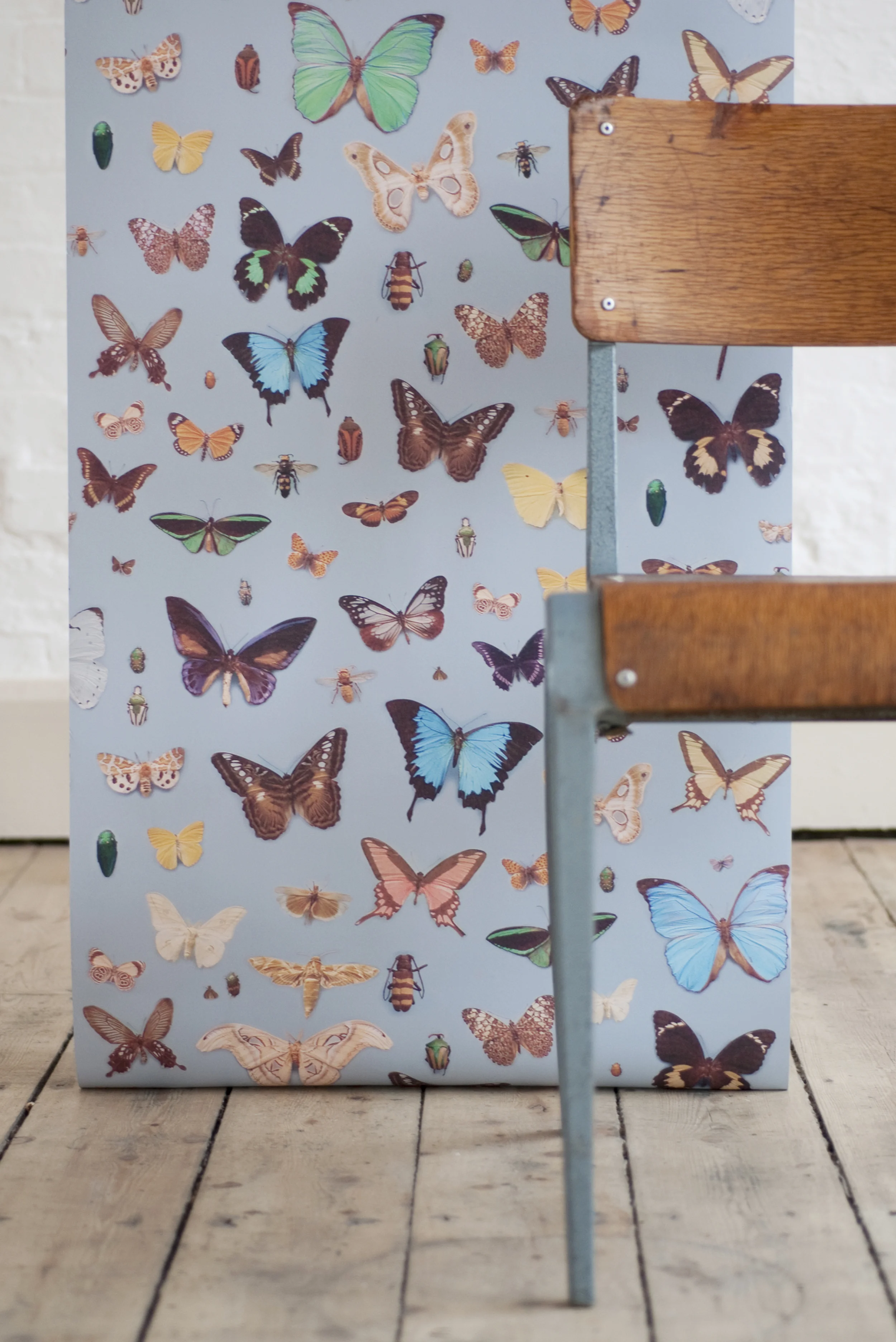 Bugs and Butterflies Wallpaper Β© Ella Doran