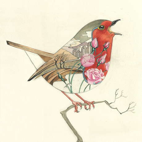 Robin-Card-The-DM-Collection-Feature