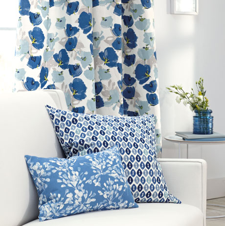 Tulipa_Blue_Romo